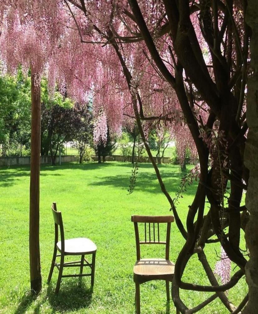 La Taverna Fra Le Colline Arezzo Bagian luar foto
